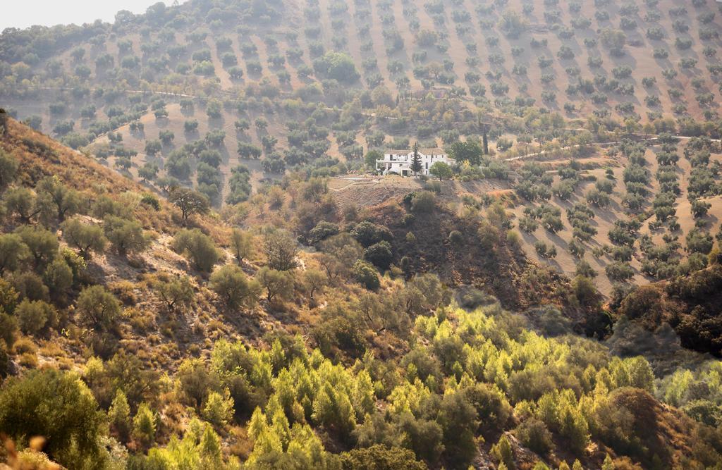 Caseria De San Jose Iznajar Luaran gambar